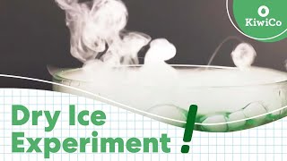 Make Bubbles With Dry Ice | STEAM DIY | KiwiCo