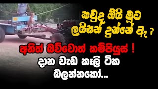 කවුද ඕයි මූට ලයිසන් දුන්නේ ඈ ? අනිත් බව්වොත් කම්පියුස් ! දාන වැඩ කෑලි ටික බලන්නකෝ...