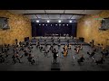 Cavalleria Rusticana Intermezzo, Mascagni – Malta Philharmonic Orchestra