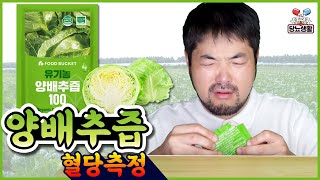 야채는 즙을 내서 먹어도 괜찮을까? 【양배추즙】 🩸혈당측정 #당뇨 #양배추즙