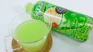 がぶ飲み メロンクリームソーダ Gabunomi Melon Cream Soda