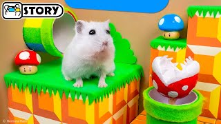 🍄 Hamster escapes the Super Mario Maze 1.0 🍄 Homura Ham Pets