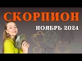 СКОРПИОН ноябрь 2024: расклад Таро Анны Ефремовой