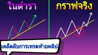 ใช้เทรนด์ไลน์ยังไงให้ปัง 🎉 | Guideline ให้เทรดเดอร์มือใหม่