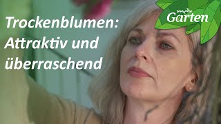 Mit Trockenblumen gestalten | MDR Garten