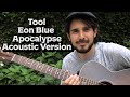 Tool - Eon Blue Apocalypse (Acoustic Guitar Version by Dan Barracuda)