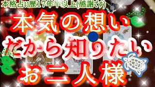 ＊本格辛口/霊視タロット🔮 🌹🤍☽･:*お相手様はあなたとどうしていきたい？🪷🪷🪷