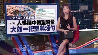 研究人员也不寒而栗!   研究：人类脑中微塑料量  大如一把塑料汤勺 | 新闻报报看 08/03/2025