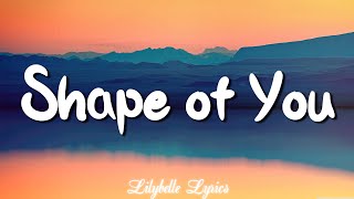 Shape of You - Ed Sheeran (Lyrics) - Charlie Puth, Shawn Mendes, Ellie Goulding (Mix)