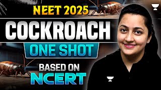 Cockroach Part-2 | One Shot | Based on New NCERT | NEET 2025 | Infinity Series | Ambika Ma'am