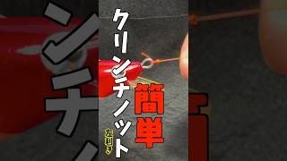 左利き用　簡単　クリンチノット　#shorts #shorts動画 #ショート動画 #fishingknot #knot