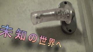 ＴＥＮＧＡレビューしたら思った以上にヤバかった