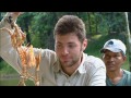 holding a red bellied piranha ultimate killers bbc earth