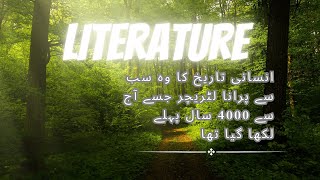 The oldest literature in human history was written 40,000 years ago.#latrading #lettering #history