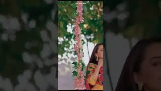 Teri Aa Jatta || Sruisty Maan and Guntaj || New Punjabi Song Status