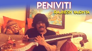 Peniviti - Aravinda Sametha | Veena Cover | Rajhesh Vaidhya