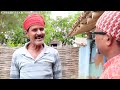 सतबा बेटाके अपमान part 80 maithili comedy gharghar maithili ashgaruwa rupchan arjun pothiya