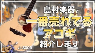 初心者でも弾きやすい！おすすめアコギ James J-300Aを解説します！