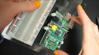 Pi Dish for Raspberry Pi by Adafruit
