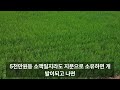 기획부동산 모르면 당신도 사기당한다.공인중개사가 취직하여 파헤쳐본 기획부동산사기수법과 대처방안