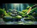 Peaceful Music + Bamboo Fountain | Relaxing Music, Healing of Stress and Deep Sleep, Nature Sounds