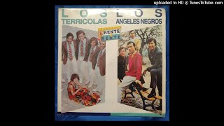 LOS TERRICOLAS Y ANGELES NEGROS MIX