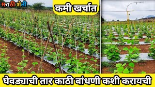 घेवड्याची तार काठी बांधणी || ghevda wire bulid constructure || #मराठीशेती