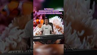 电子琴演奏【珊瑚颂】keyboard music #电子琴演奏 #电子琴音色节奏包 #珊瑚颂keyboard music