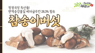 아직도 비싼 자연산 송이만 찾으시나요?🍄ㅣ옥과농원 \