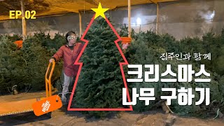 🇺🇸 Ep.02 광기 특 : 크리스마스 트리 진짜 나무로 만듦