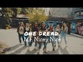 One Dread - Mr. Nicey Nice (OFFICIAL MUSIC VIDEO)