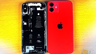 Iphone 12 Vs Iphone X Size Comparison