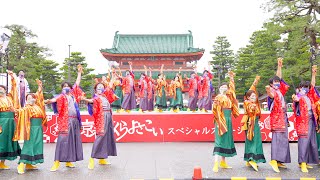 [4K] なるたか　京都さくらよさこい 2022 さくよさ 2日目