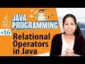 Relational Operators in Java - Operators in Java - Java Programming Tutorial