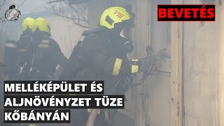 Melléképületek és aljnövényzet égett Kőbányán