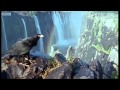 Zimbabwe's Victoria Falls   Wild Africa   BBC