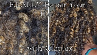 OLAPLEX :Use Olaplex to REALLY Repair Curly Hair #curltraining