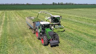 Silage 2019 - Rozs silózás | Claas Jaguár 850 + Fendt 936 + New Holland