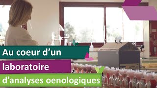 Etes-vous déjà entré au cœur d'un laboratoire d'analyses œnologiques ?