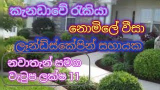 කැනඩාවේ රැකියා ලෑන්ඩ්ස්කේපින් සහායක .2025 landscaping helper job vacancies in Canada.