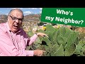 Good Samaritan - Who Is Your Neighbor? World and Culture of the Bible come to Life