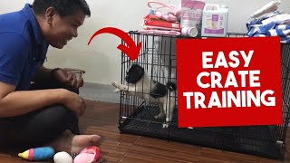 How to Crate Train a Puppy #pottytraining #dogtrainingtips #happypuppy