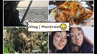 【VLOG】蒙特利尔❗️美食+教堂+生态博物馆