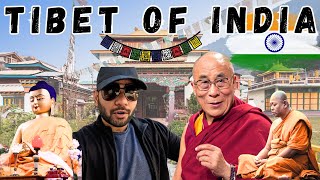 Dharamshala \u0026 McLeod Ganj In Tamil | Dalai Lama History | Tibet in India