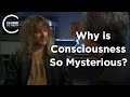 David Chalmers - Why is Consciousness so Mysterious?