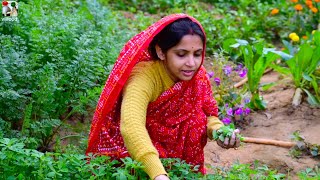 বাগানের টাটকা মেথি পাতা দিয়ে মুরগির মাংস রান্না | Methi Chicken curry recipe | Methi Murgi curry