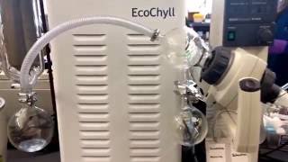 Duke University Graduate Student Evaporating Solvents Using EcoChyll Rotovap