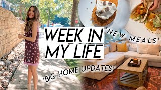 WEEK IN MY LIFE | big home updates, what I do for work, fall clothing haul, making new meals!