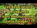 🌱 Les Combinaisons de Légumes pour un Potager en Permaculture Réussi