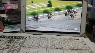 （競馬）第8回JBCレディスクラシック（交流GⅠ）解説ダイジェスト